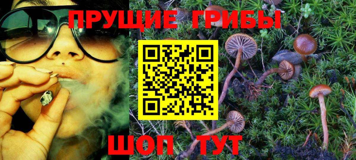 Галлюциногенные грибы Cubensis Хасавюрт